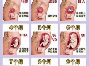 videosfiliaorg孕交、videosfiliaorg 孕交视频是否合法？