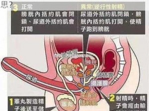 人人射人人插 请问人人射人人插是什么意思？