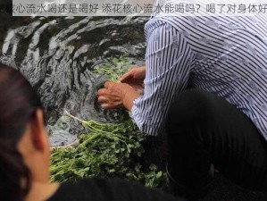 添花核心流水喝还是喝好 添花核心流水能喝吗？喝了对身体好吗？