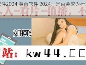 黄台软件2024,黄台软件 2024：是否会成为行业颠覆者？