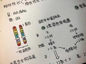 未检测到具有临床意义的变异：最新研究报告揭示遗传变异的奥秘及其临床意义探究