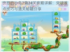 愤怒的小鸟2第24关攻略详解：突破难点技巧与通关秘籍分享