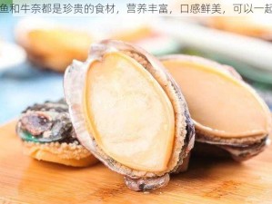 鲍鱼和牛奈都是珍贵的食材，营养丰富，口感鲜美，可以一起吃