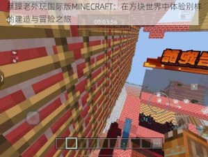 暴躁老外玩国际版MINECRAFT：在方块世界中体验别样的建造与冒险之旅