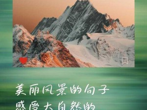 闪耀美丽符号：探寻自然与人文中的无尽魅力与风采