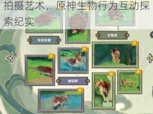 探索原神世界：动物行为攻略与拍摄艺术，原神生物行为互动探索纪实