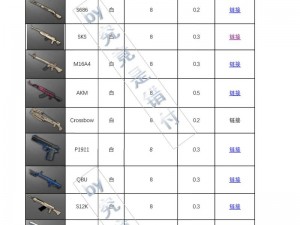 绝地求生刺激战场工具带全面解析：功能、数据与实战应用探讨