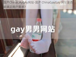 国产ChinaGAyGAy网站-国产 ChinaGayGay 网站是否能满足用户需求？