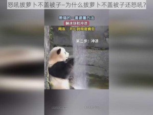 怒吼拔萝卜不盖被子—为什么拔萝卜不盖被子还怒吼？