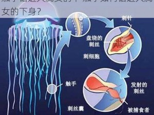 触手钻进大胸女的下 触手如何钻进大胸女的下身？