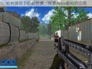 枪林弹雨下的新世界：探索Apex看枪的应用