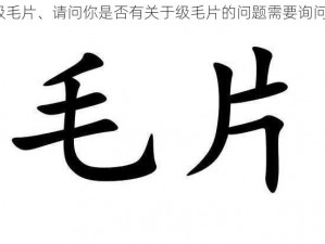 级毛片、请问你是否有关于级毛片的问题需要询问？