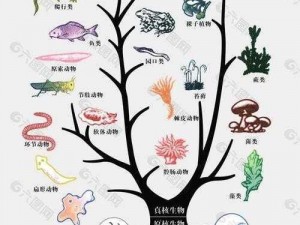 以翅膀合成表及高度排行榜为核心，揭秘飞行生物进化之谜：翅膀进化历程与飞行高度排名权威解读