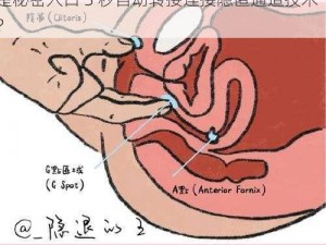 秘密入口3秒自动转接连接隐匿通道技术,什么是秘密入口 3 秒自动转接连接隐匿通道技术？