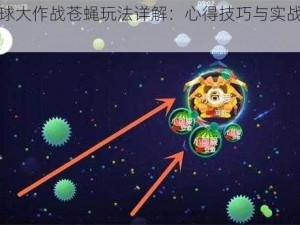 球球大作战苍蝇玩法详解：心得技巧与实战指南