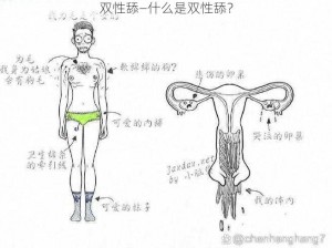 双性舔—什么是双性舔？