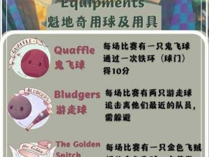 哈利波特魔法觉醒魁地奇技巧攻略：掌握飞行与魔杖操作的奥秘