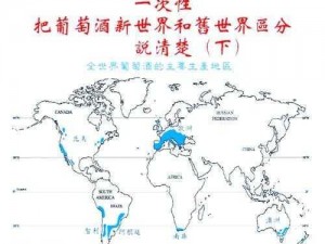 旧世界Old World价格揭秘：全面解析旧世界葡萄酒的价格走势及市场定位