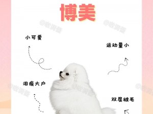 博美犬的冒险生存之旅：一场与自然的挑战与玩法的探索