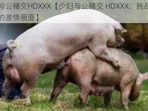 少妇与公豬交HDXXX【少妇与公豬交 HDXXX：挑战伦理底线的激情画面】