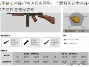 和平精英冲锋枪快速弹夹图鉴：全面解析各类冲锋枪弹夹特性与选择攻略