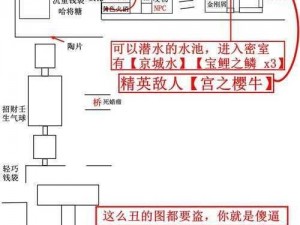 只狼NPC位置详解：探寻游戏世界中的关键角色所在与分布概览