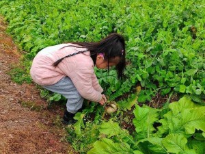 体育生开荤后H拔萝卜【体育生开荤后与壮汉进行了一场激烈的拔萝卜大战】