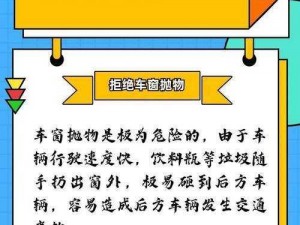 当代人生驾照：解锁驾驶技能，迈向安全出行新篇章