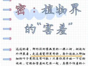 含羞草乱码在线观看 含羞草乱码在线播放：它真的能带来快乐吗？