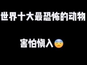 人马畜禽CORPORATION在线咨询,人马畜禽 CORPORATION 在线咨询：了解更多信息