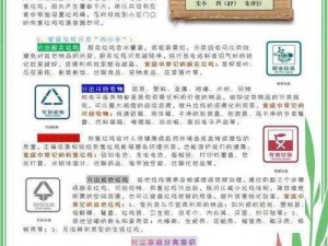 垃圾分类至关重要，第九关攻略指南：策略与实操并行助力顺利过关