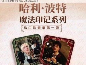 关于哈利波特纪念章价格探秘：究竟多少钱才能拥有这份魔法？