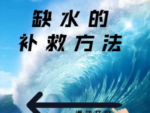 缺水的鱼生存挑战：安装与配置指南以应对水资源短缺的挑战