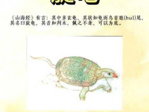 赤龟传奇：揭秘神秘生物的真实故事与传奇经历