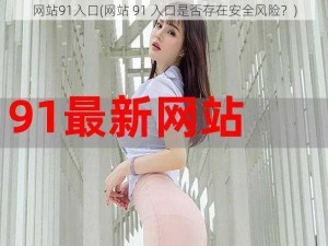 网站91入口(网站 91 入口是否存在安全风险？)