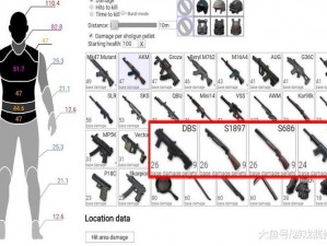 和平精英DBS霰弹枪深度解析：性能数据一览，实战应用大揭秘