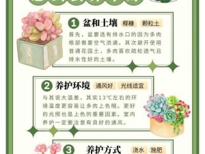 骨科多肉植物的古代推荐与养护秘笈：融合古今智慧，引领健康园艺新风尚