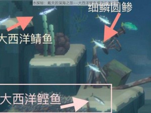 潜水探秘：戴夫的深海之旅——大西洋鲣鱼捕获位置全揭秘