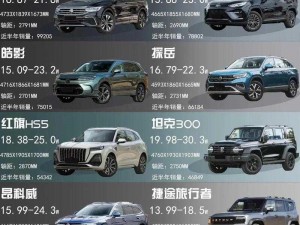 国产SUV精品一区二区69-在国产 SUV 精品一区二区 69 中，如何选择适合自己的车型？