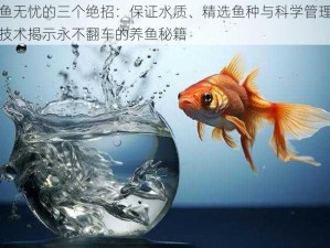 养鱼无忧的三个绝招：保证水质、精选鱼种与科学管理喂养技术揭示永不翻车的养鱼秘籍