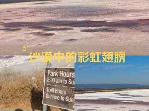 旅行物语中的梦幻之境：里亚德的独特魅力与风情解析