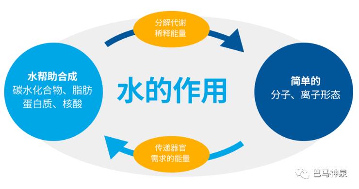 我的起源水分值：揭秘其在生活中的实际应用与重要性