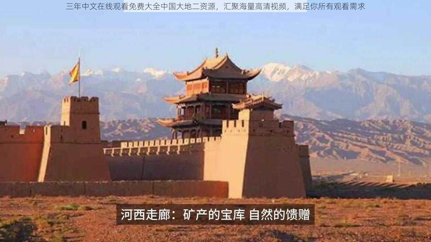 三年中文在线观看免费大全中国大地二资源，汇聚海量高清视频，满足你所有观看需求