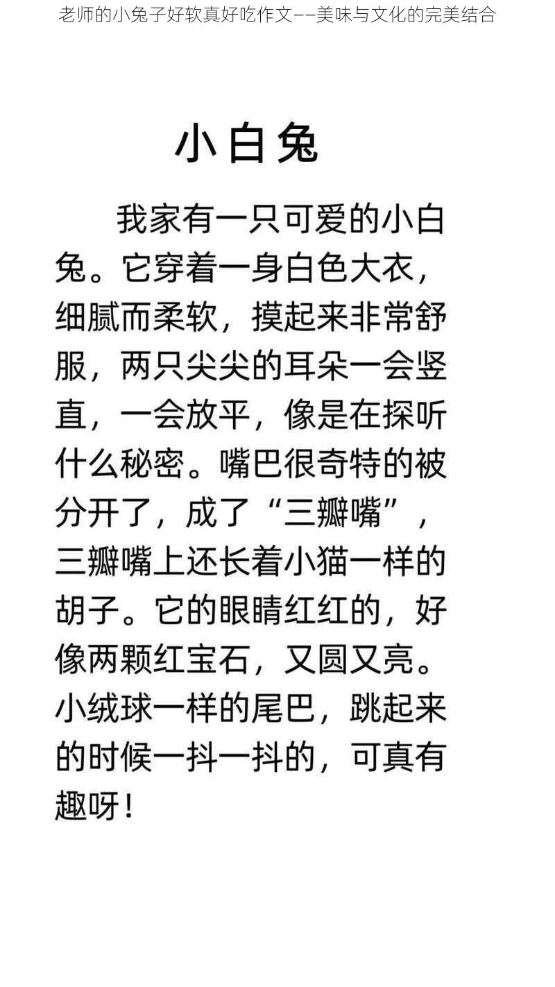 老师的小兔子好软真好吃作文——美味与文化的完美结合