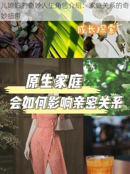 儿媳妇的奇妙人生角色介绍：家庭关系的奇妙纽带