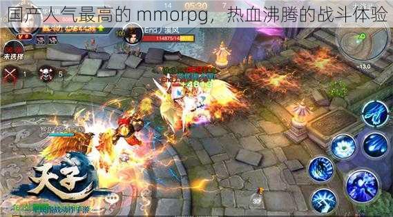 国产人气最高的 mmorpg，热血沸腾的战斗体验