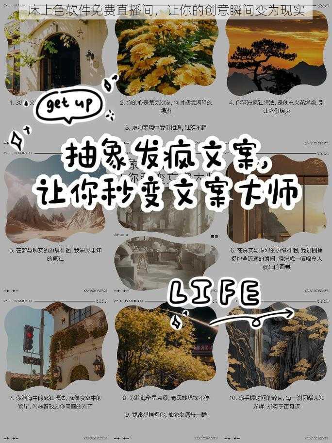 㡷上色软件免费直播间，让你的创意瞬间变为现实