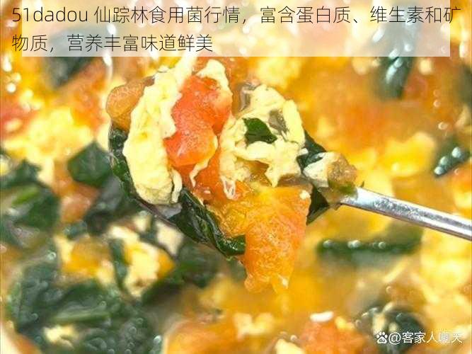 51dadou 仙踪林食用菌行情，富含蛋白质、维生素和矿物质，营养丰富味道鲜美