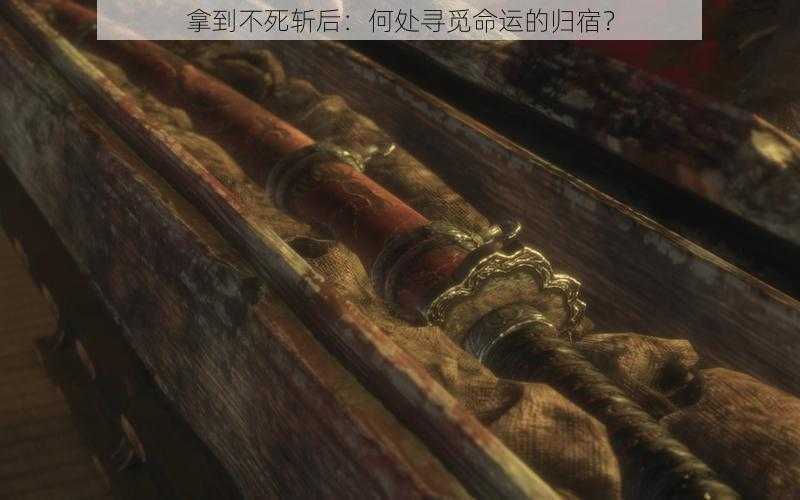 拿到不死斩后：何处寻觅命运的归宿？