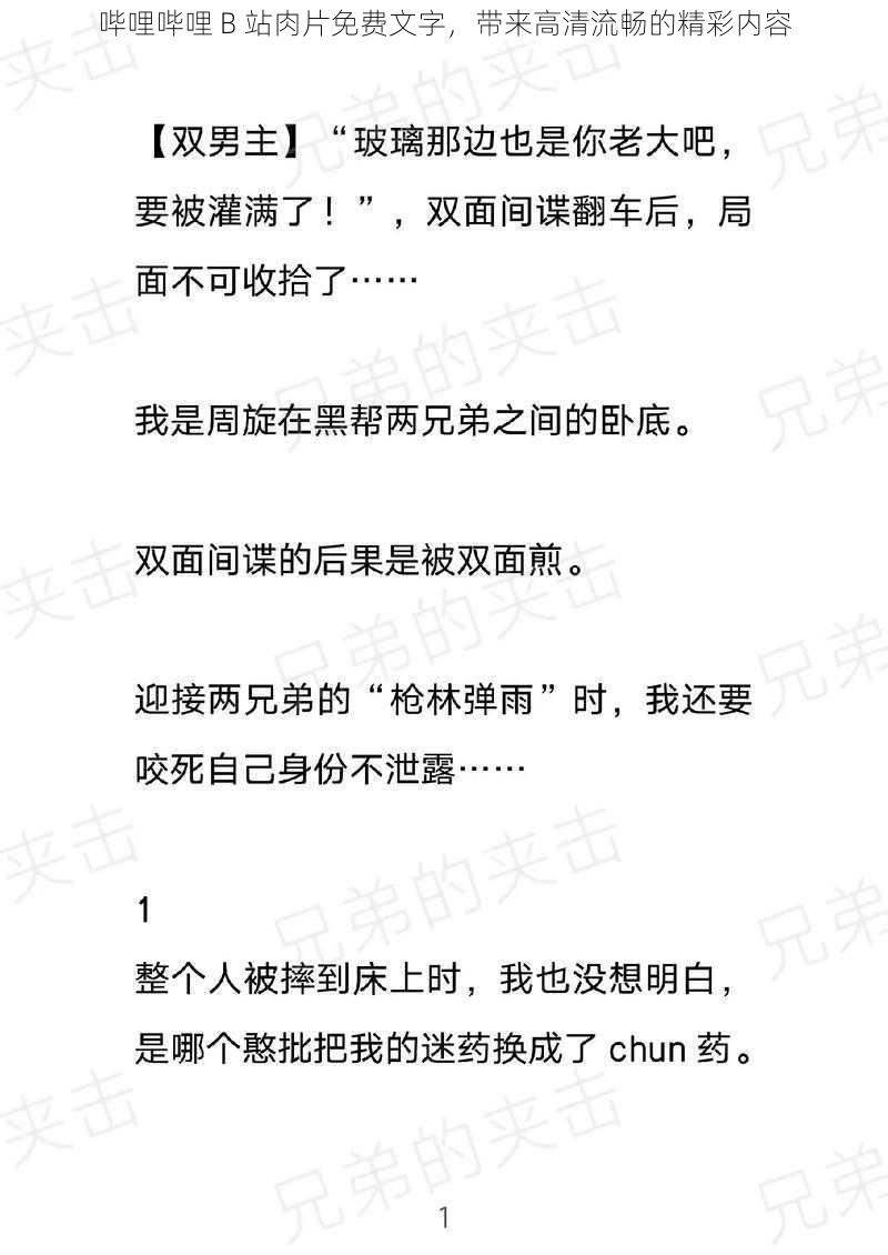 哔哩哔哩 B 站肉片免费文字，带来高清流畅的精彩内容